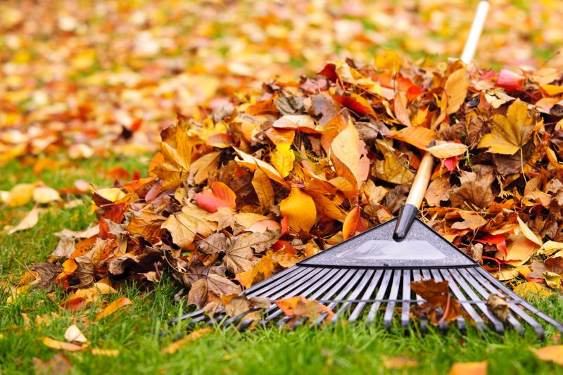 Leaf Mulching and Lawn Care