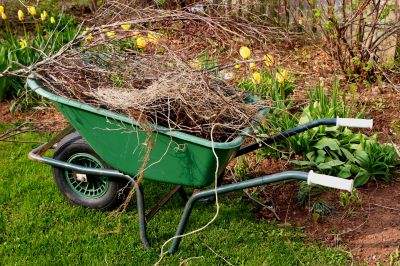 Gathered Leaves and Yard Debris