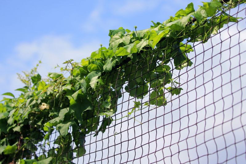 Budget-Smart Upgrades