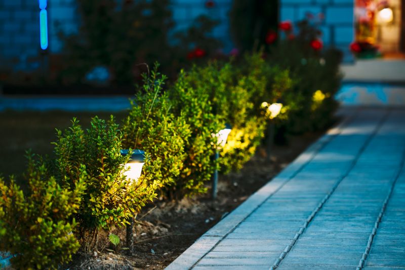Pond Lighting Installation in Honolulu, HI